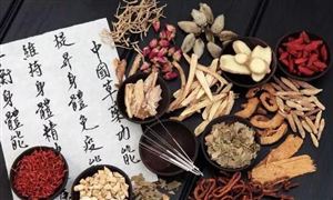 2024年交流电机行业市场发展现状及未来发展前景分析(图6)