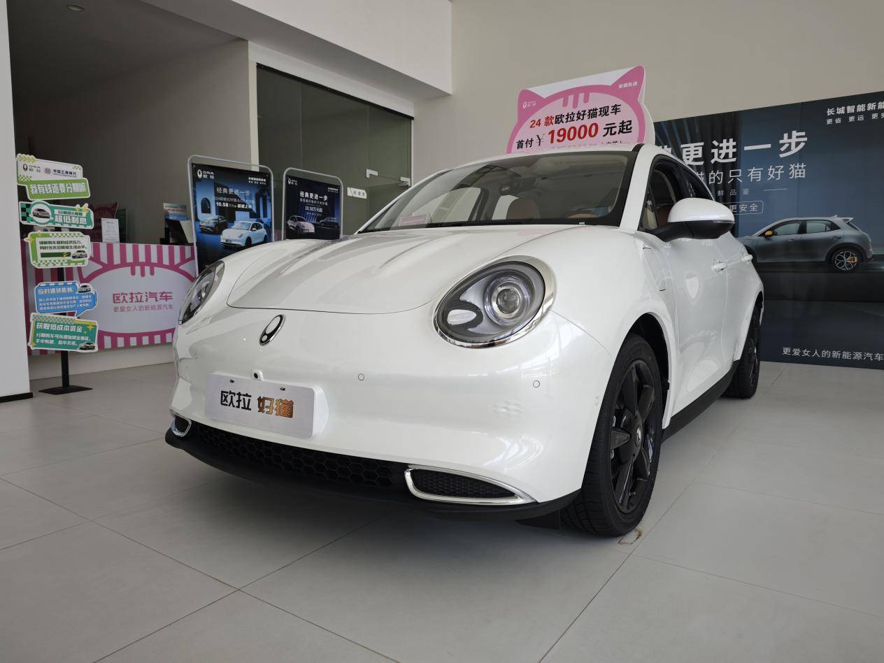 适合女性的纯电小车2024款欧拉好猫到店实拍降价还增配