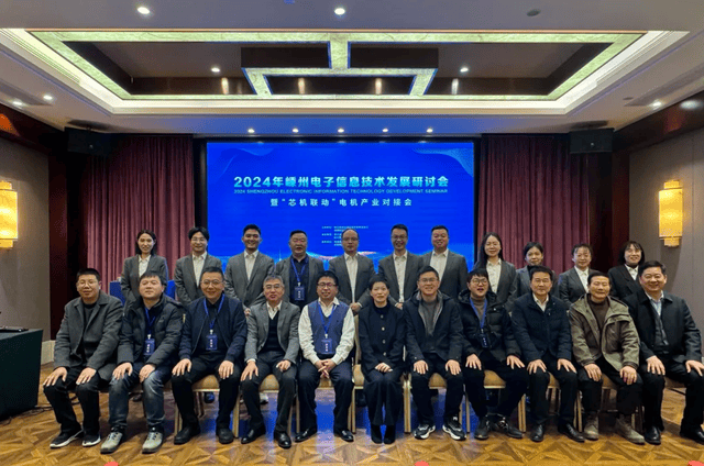 2024年嵊州电子信息技术发展研讨会暨“芯机联动”电机产业对接会成功召开(图6)
