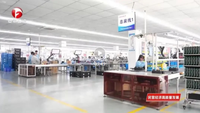 Kaiyun体育网站：【民营经济高质量发展】民营经济“枝繁叶茂”高质量发展“动能澎湃”(图10)