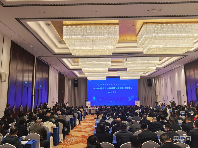 向南向海向外湖南永州紧抓产业转移新机遇(图2)