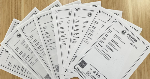 全国首家!佳电股份取得高压电机系列新1级能效认证