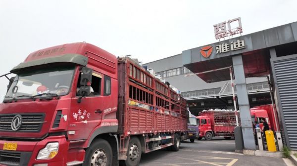 一季度销量超400万台看高质量发展背景下的“雅迪答卷”(图1)