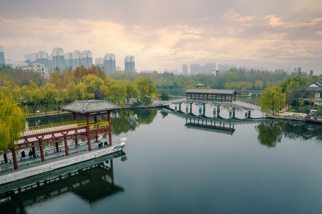 Kaiyun体育网站：望岳谈｜山东文旅：以德为先勇立潮头(图3)