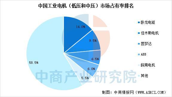 2025年中国工业电机行业市场前景预测研究报告（简版）(图7)