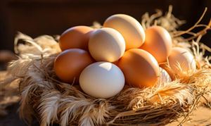 Kaiyun体育网站：高效节能电机行业市场深度分析2024(图3)