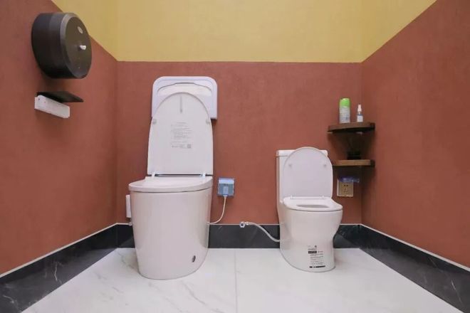 中国智能马桶增长加速卫浴品牌抢占“第一”制高点(图6)