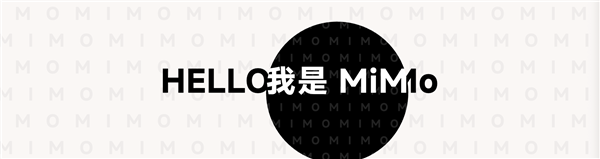 Kaiyun体育网站：小米2025：大模型怎么走向现实答案在“人车家”(图12)