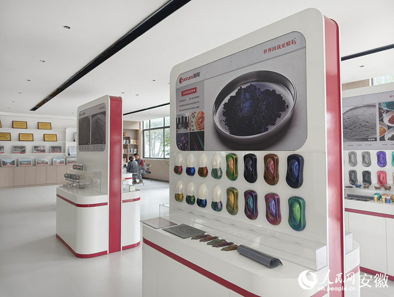 Kaiyun（中国体育）：“双凤”展翼“三力”齐鸣①丨在“看不见”的赛道里做冠军(图4)